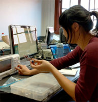 at work in the design loft