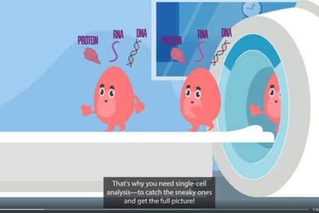 still frame from animated video explaining single cell analysis