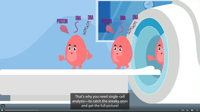 still frame from animated video explaining single cell analysis