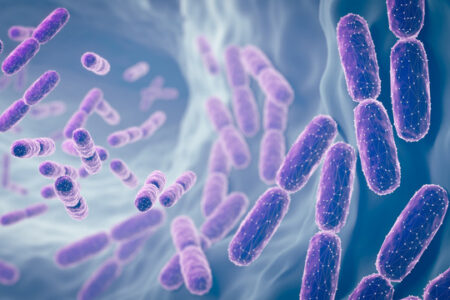 stock illustration of Lactobacillus bacteria