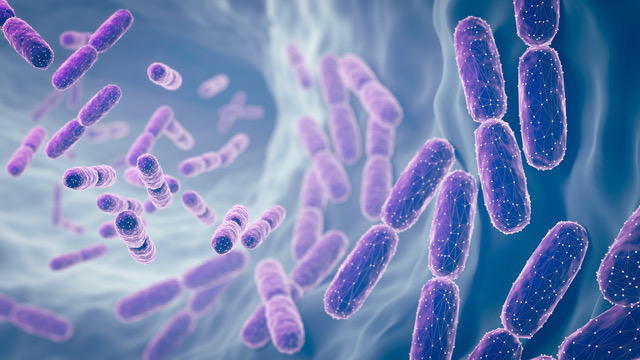 stock illustration of Lactobacillus bacteria