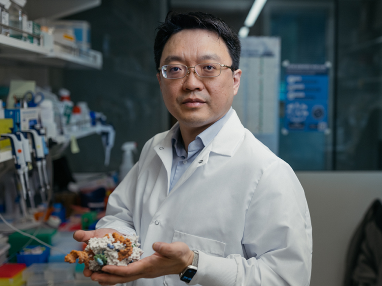 waist-up photo of Li in lab coat, holding molecular model in front of lab bench