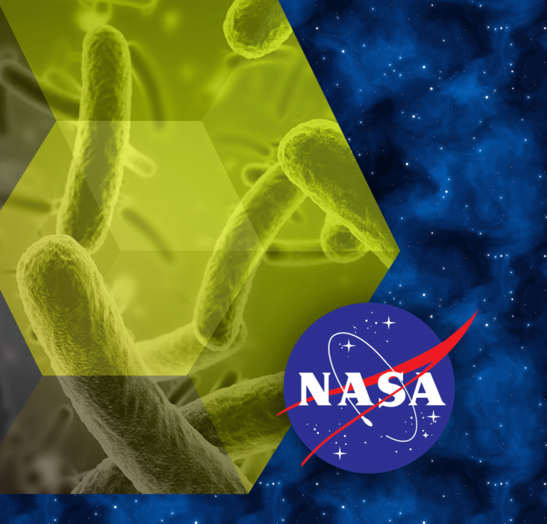 nasa logo