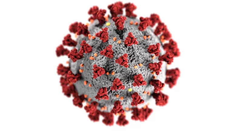 CDC image of coronavirus