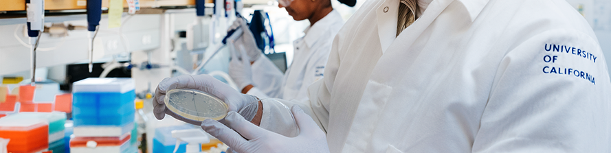 closely cropped photo of researcher in a UC lab coat holding a petri dish at a workbench