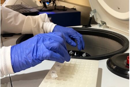 Photo of gloved hands with sample containers and receptacle during RNA sample extraction in the centrifuge. Image taken in the Healy lab and courtesy of Jazmin Isabel Velazquez.