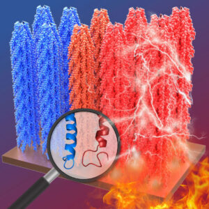 computer graphic showing towers of red and blue DNA and flames