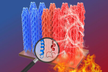 computer graphic showing towers of red and blue DNA and flames