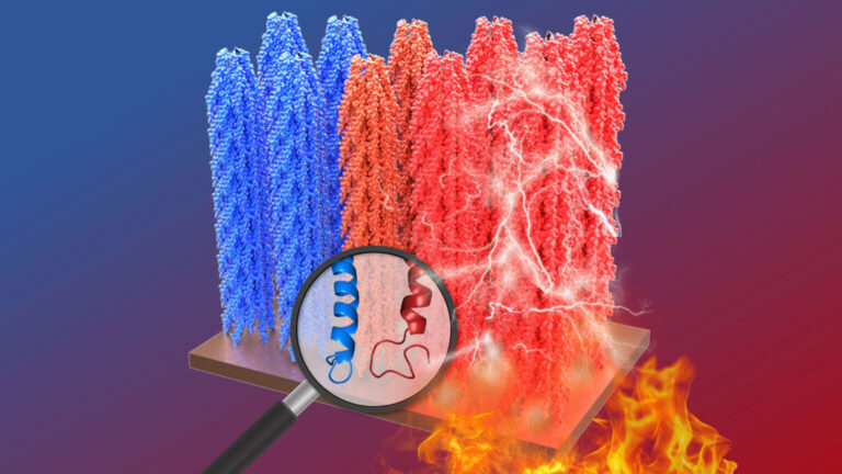 computer graphic showing towers of red and blue DNA and flames