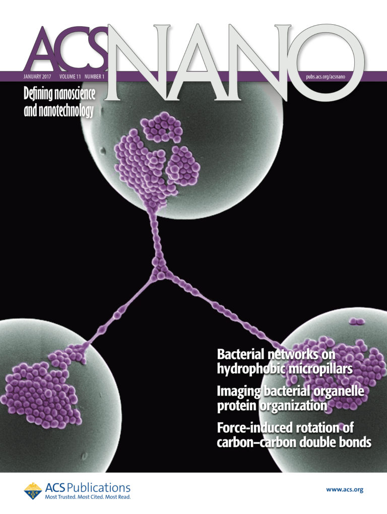 Nano cover 1/24/17