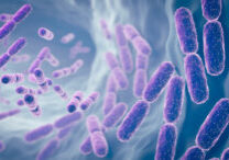 stock illustration of Lactobacillus bacteria