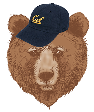 drawing of bear in Cal hat
