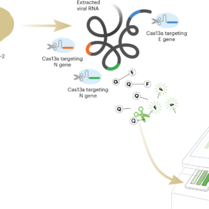 graphic of how the test device works