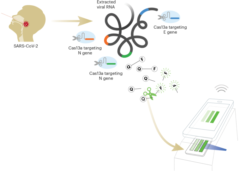 graphic of how the test device works