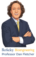 image of Dan Fletcher cartoon magnet