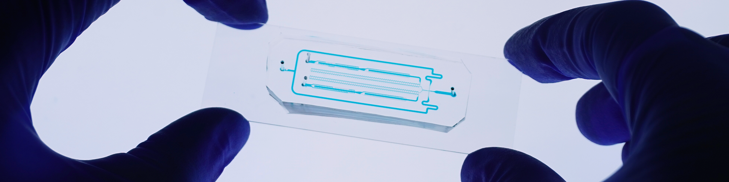 close up of microfludic chip with gloved hands, from Herr Lab