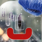 photo of microfluidic device