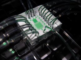 Lee lab chip
