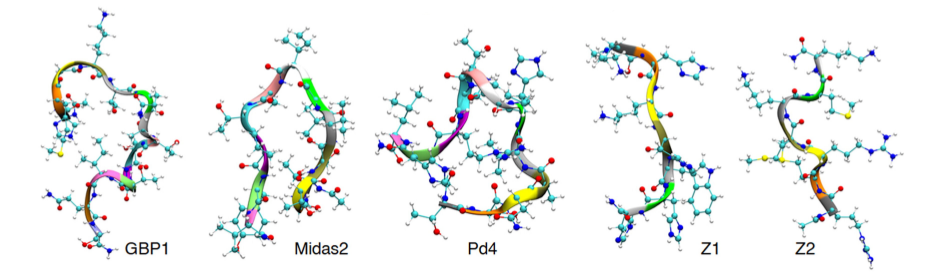 model images of peptide molecules