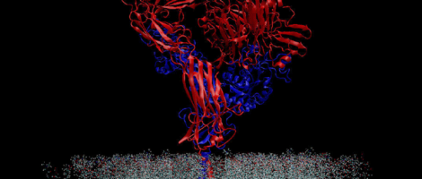 Computational Biology