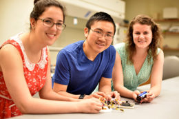 Information technology capstone project ideas image