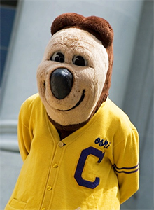 waist up photo of Oski Bear